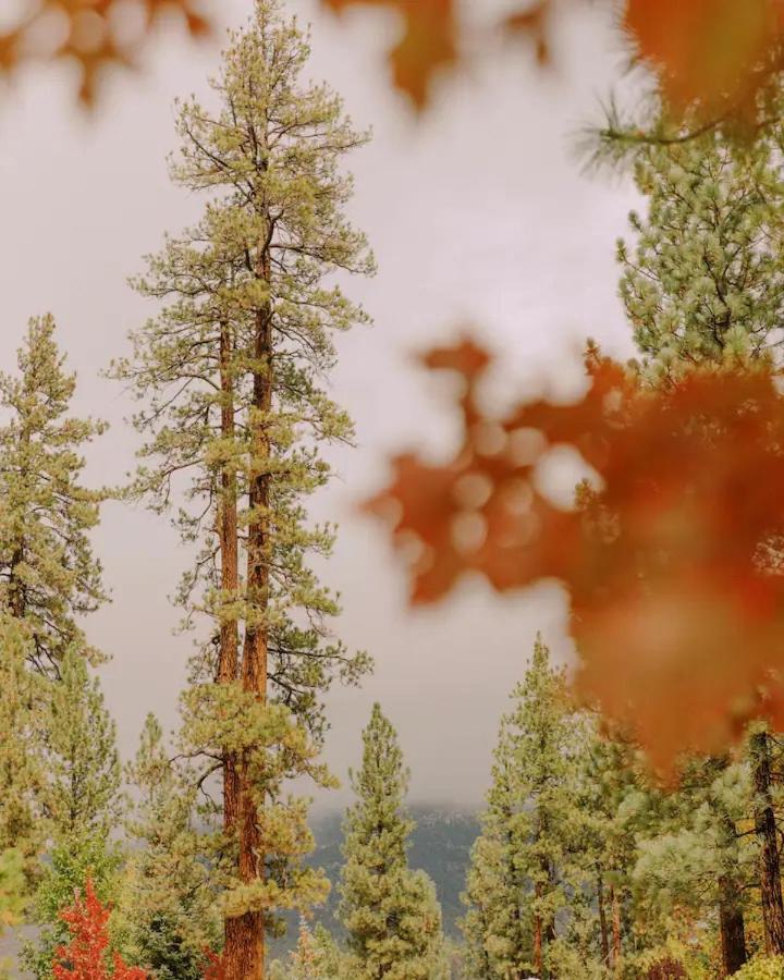 Colorado Lodge Big Bear Lake Luaran gambar