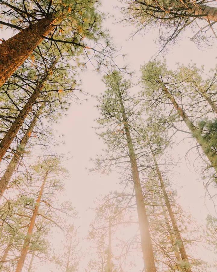 Colorado Lodge Big Bear Lake Luaran gambar